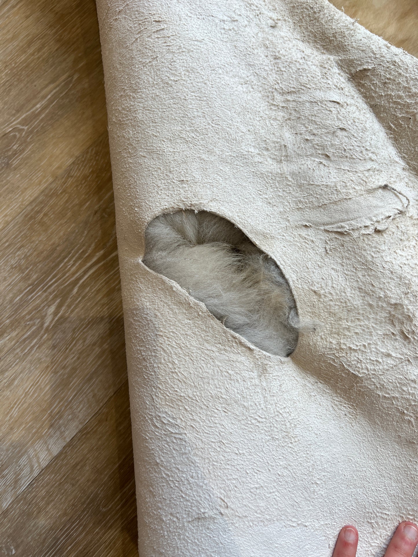 Sheepskin #3