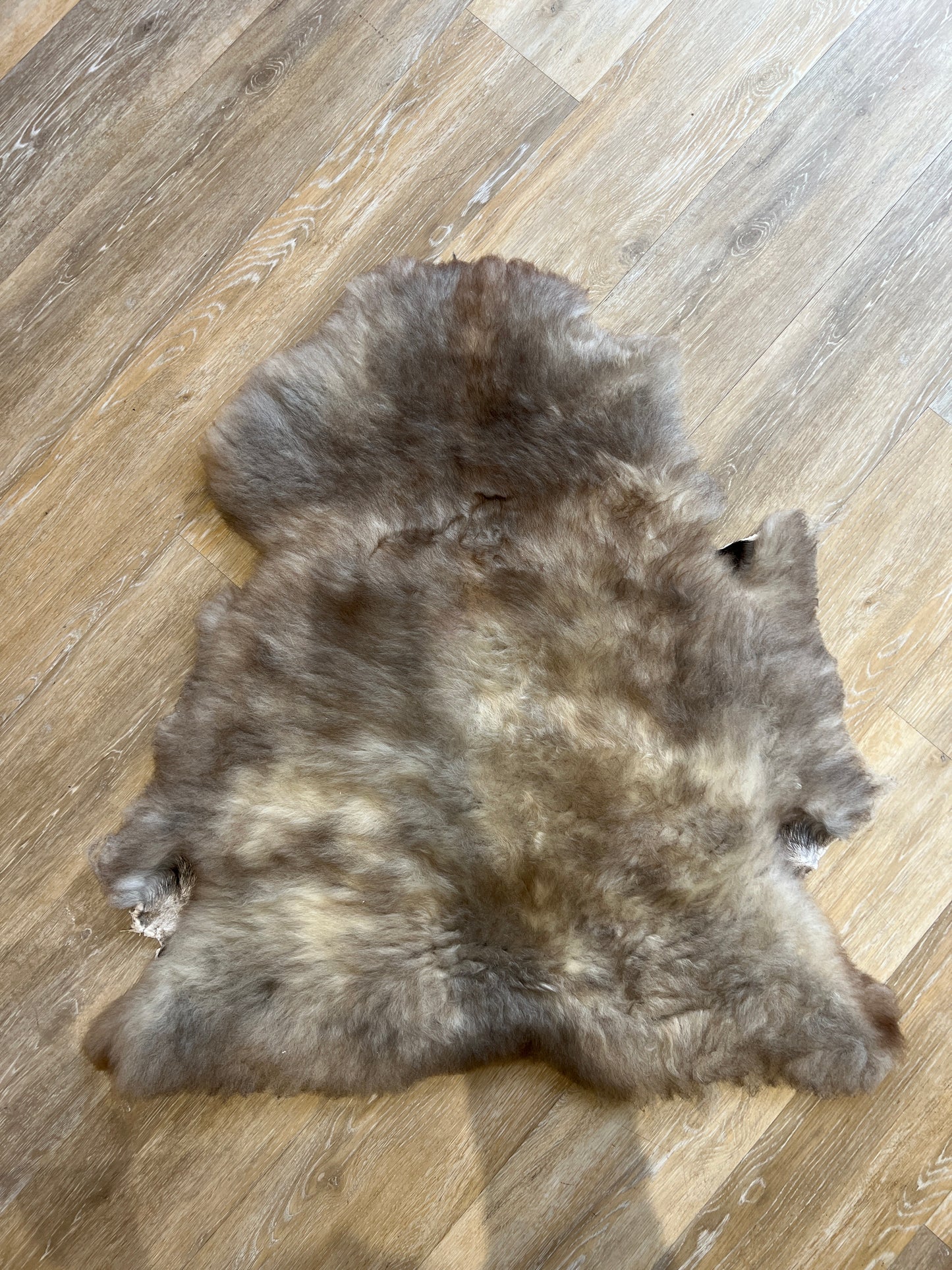 Sheepskin #11
