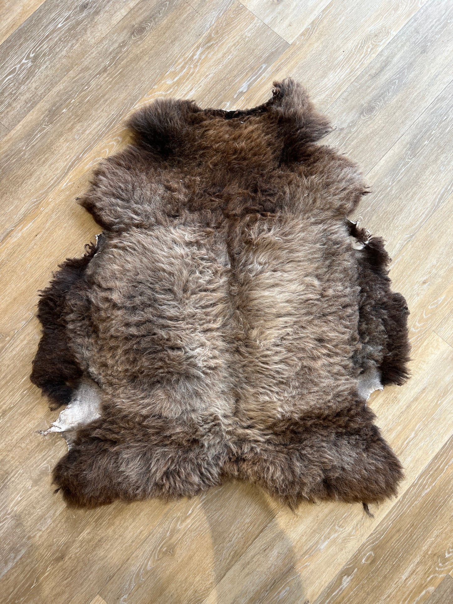 Sheepskin #12
