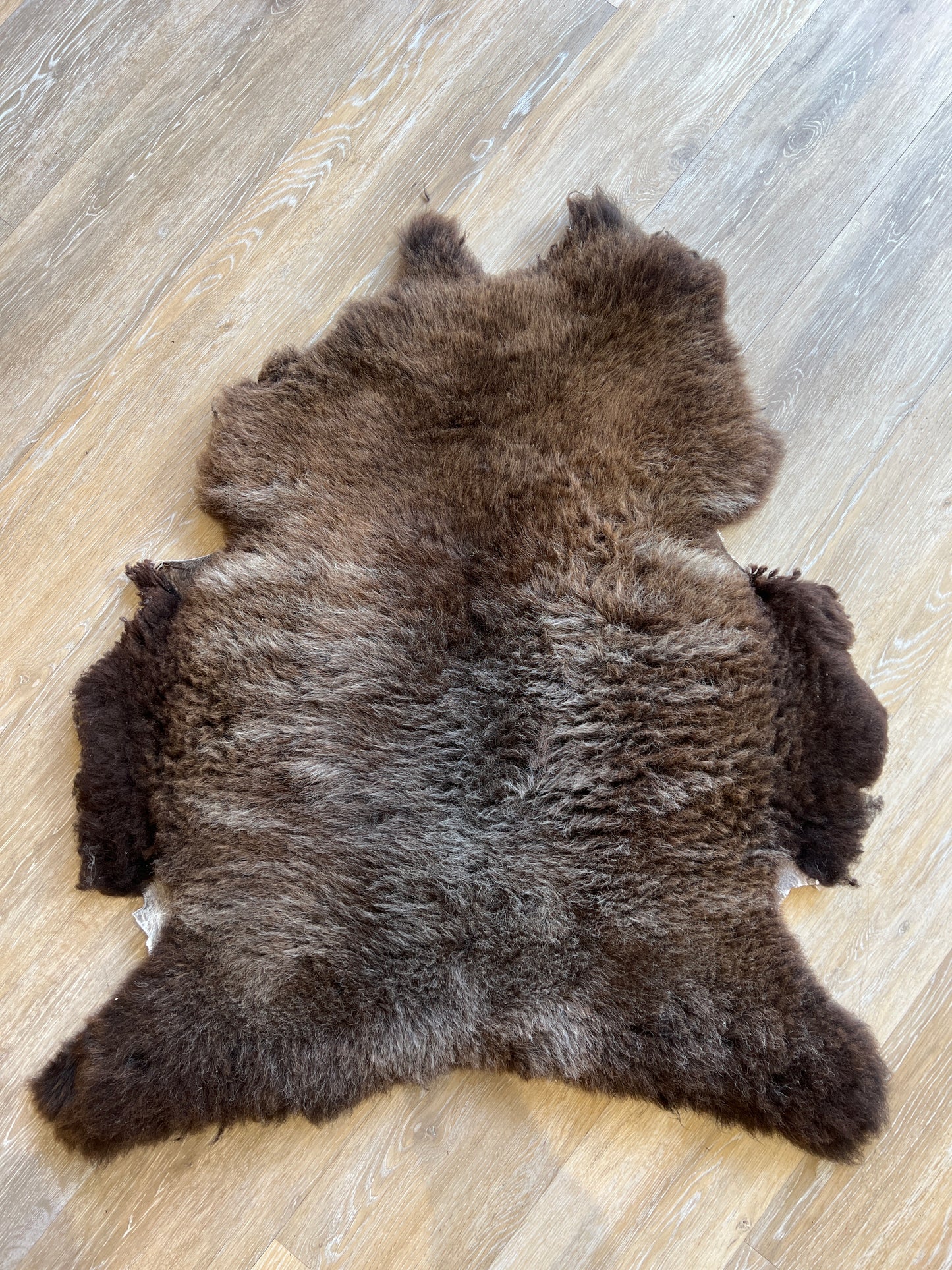 Sheepskin #4