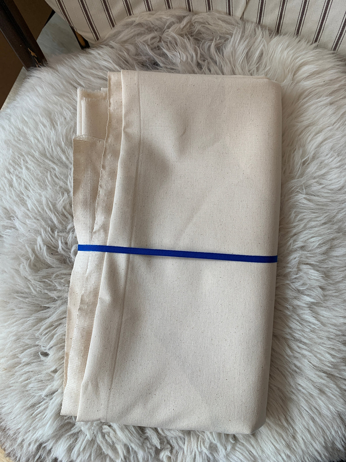 Cotton Canvas (Cream) - 2.5m