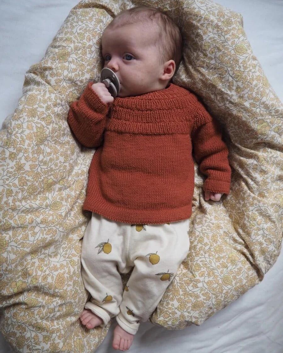 Ankers Shirt | PetiteKnit Printed Knitting Pattern