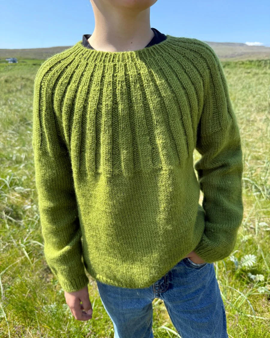 Harald’s Sweater | PetiteKnit Printed Knitting Pattern