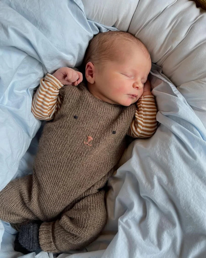 Teddy Pants | PetiteKnit Printed Knitting Pattern