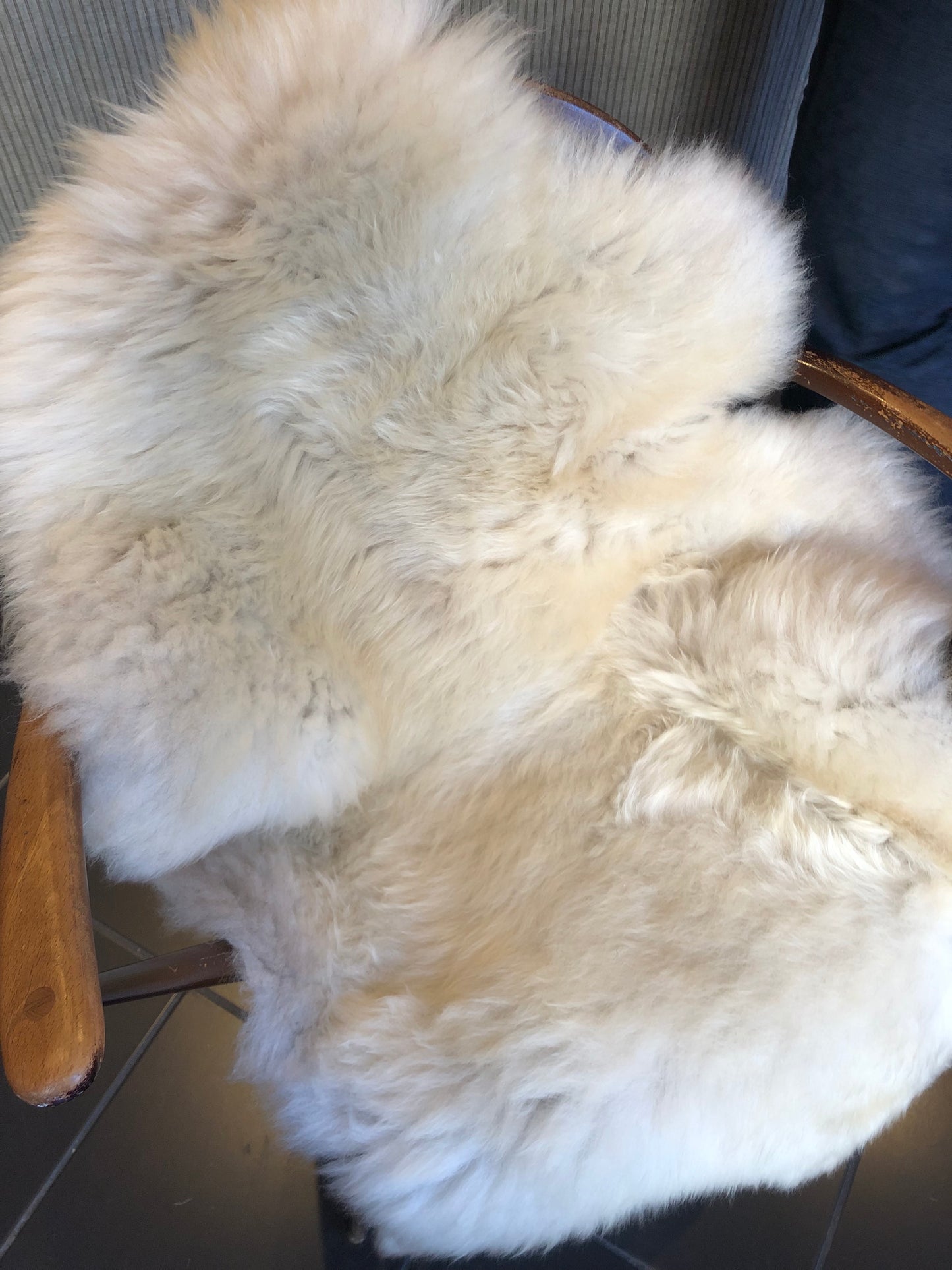 Sheepskin #17