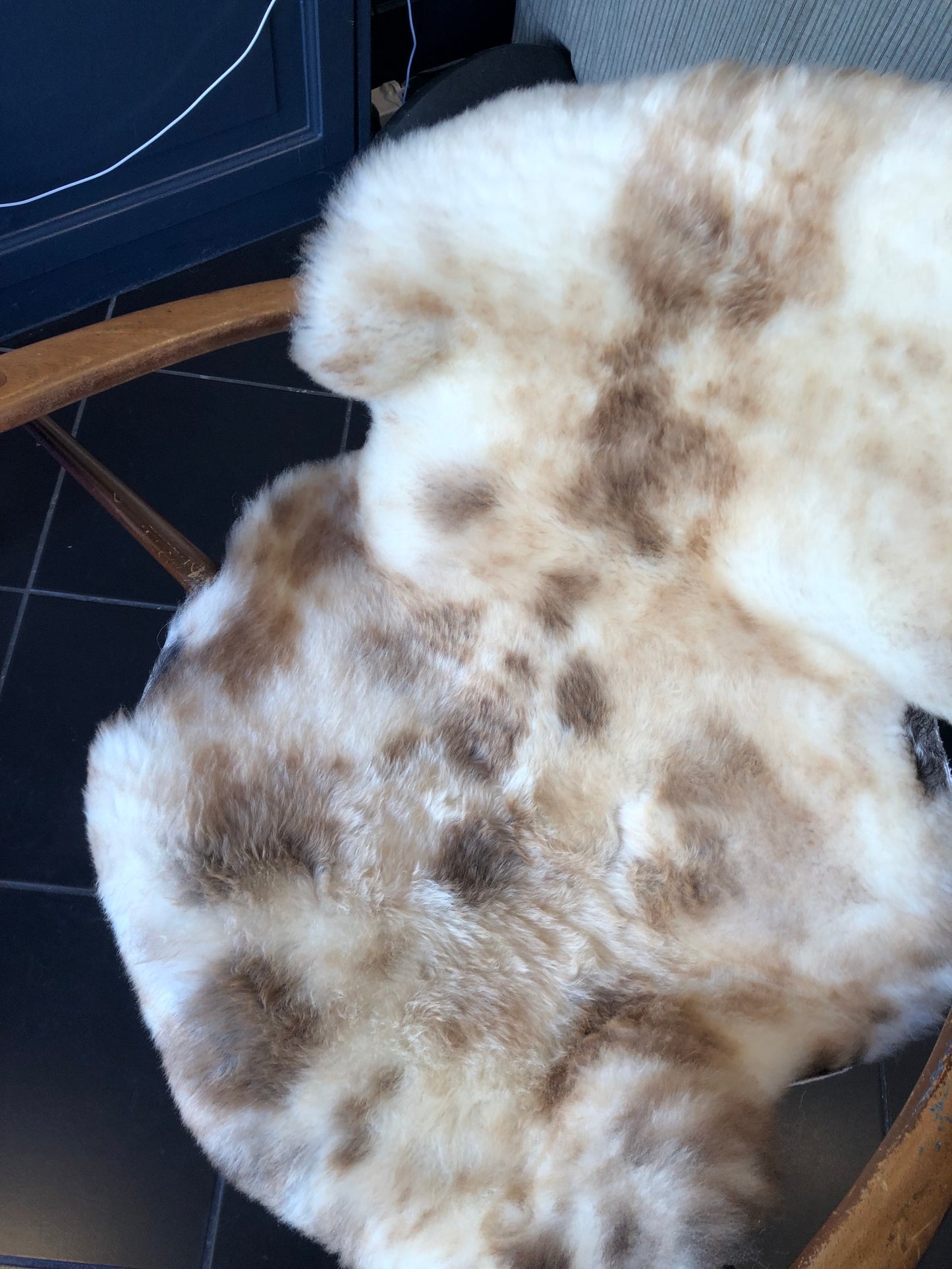Sheepskin #3