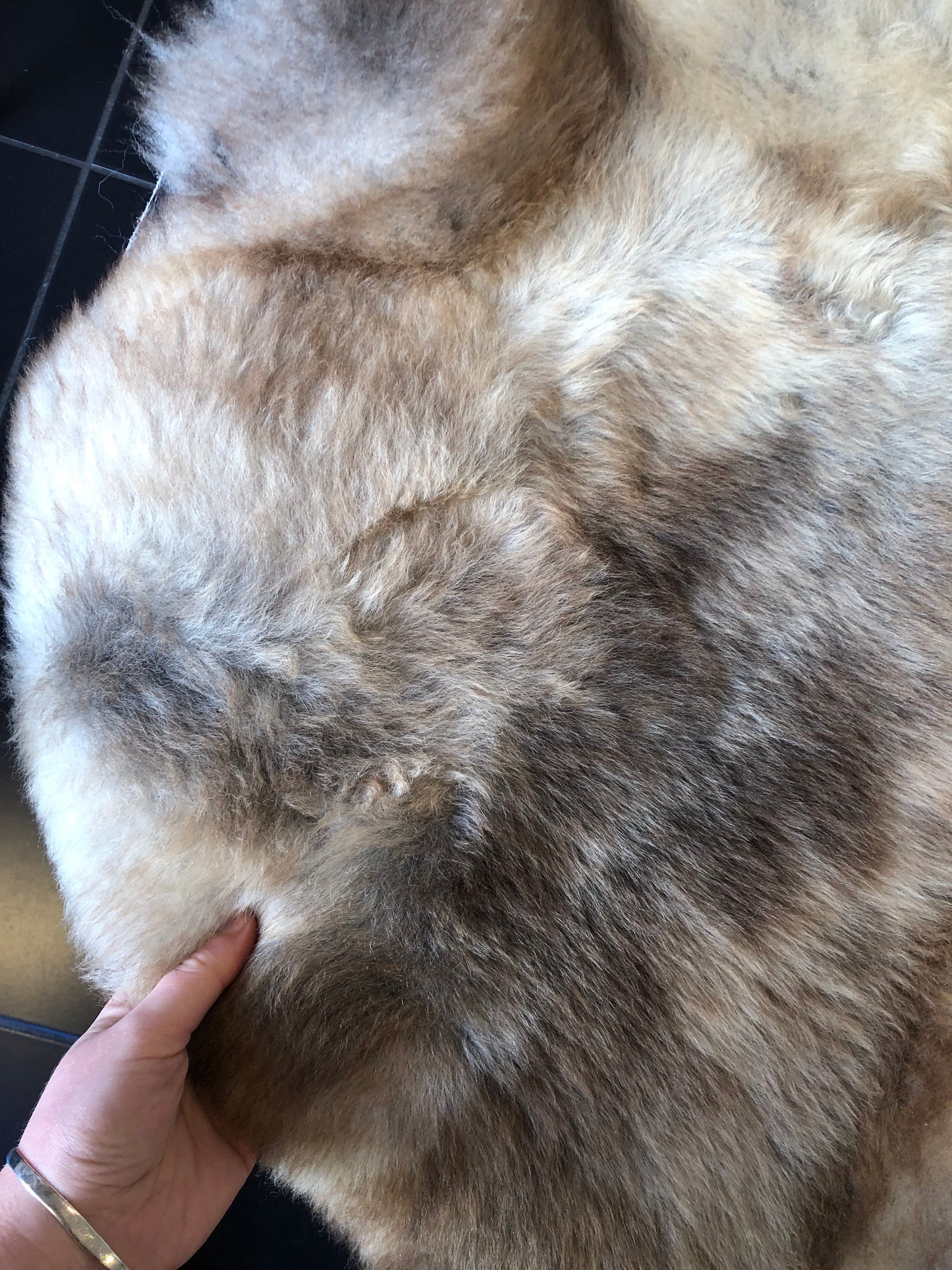 Sheepskin #5