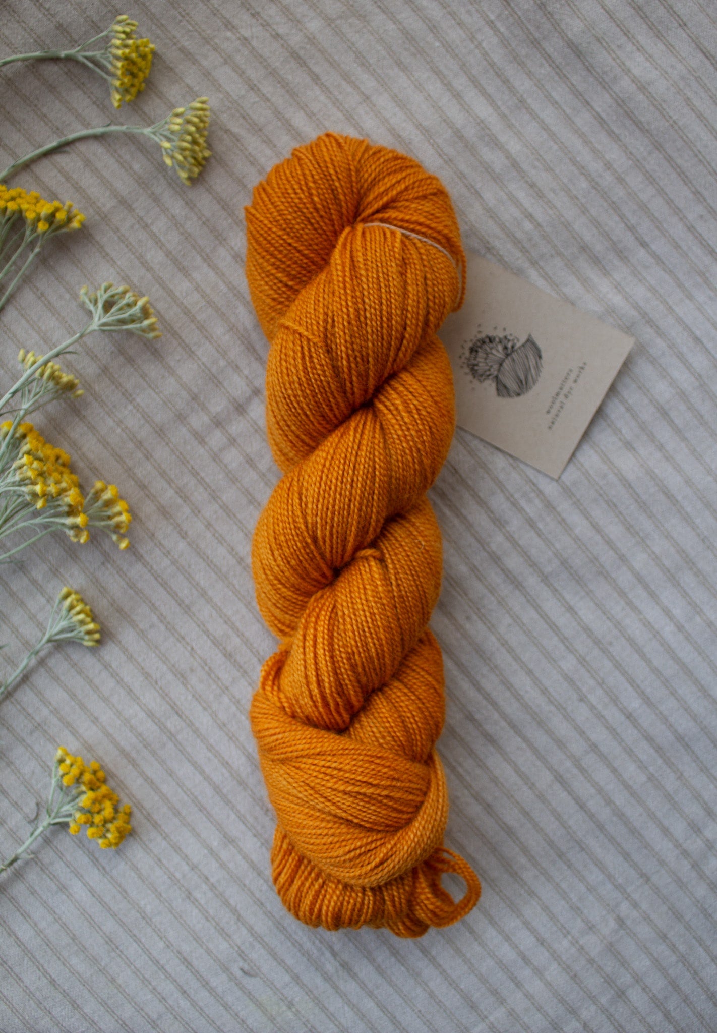 Woolmatters Corriedale Sock - Solid - 100g hank