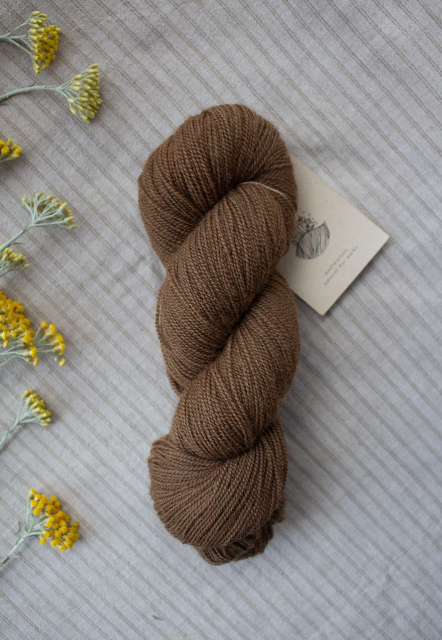 Woolmatters Corriedale Sock - Solid - 100g hank