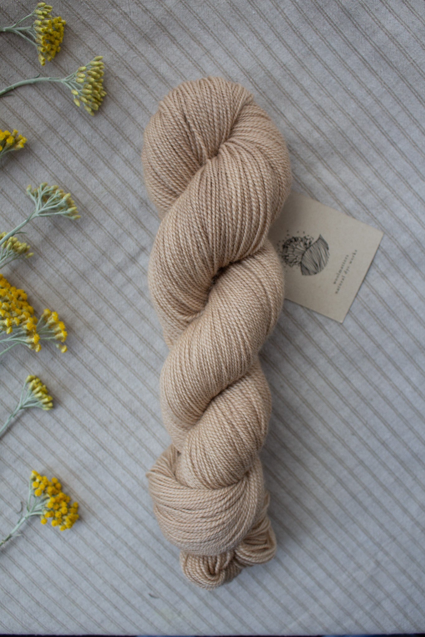 Woolmatters Corriedale Sock - Solid - 100g hank