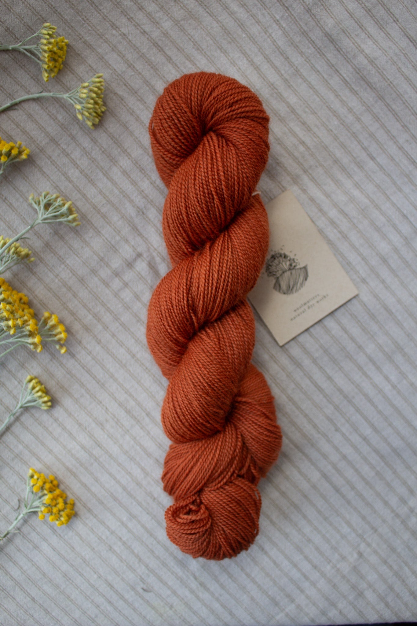 Woolmatters Corriedale Sock - Solid - 100g hank