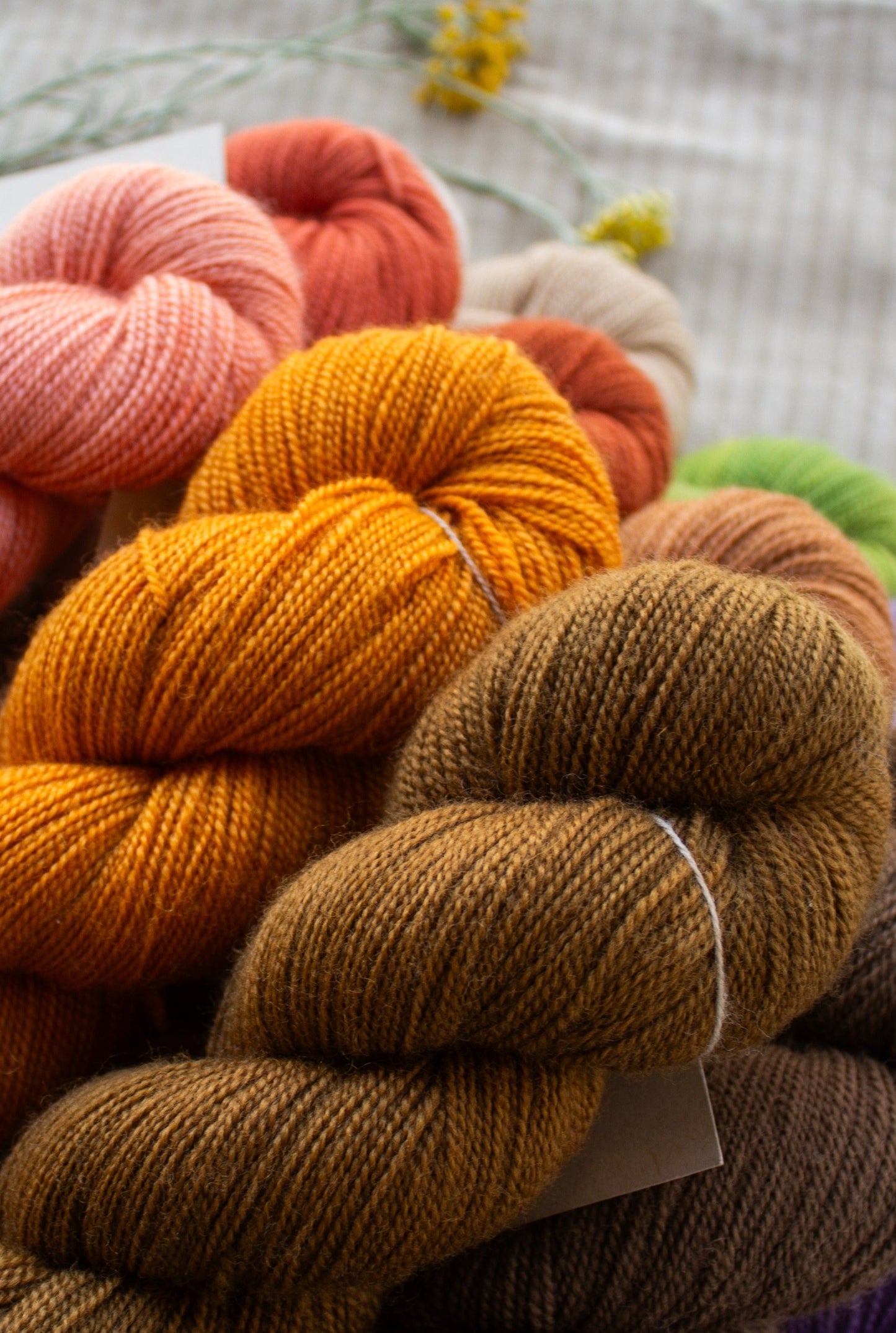 Woolmatters Corriedale Sock - Solid - 100g hank