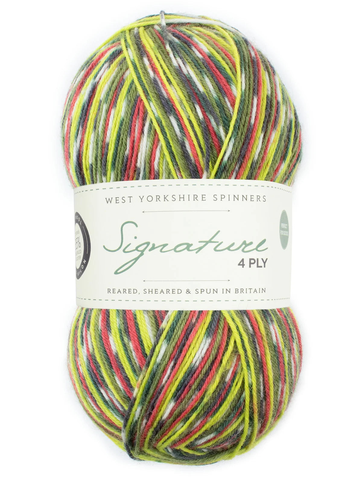 West Yorkshire Spinners Signature 4ply (Country Birds) - 100g