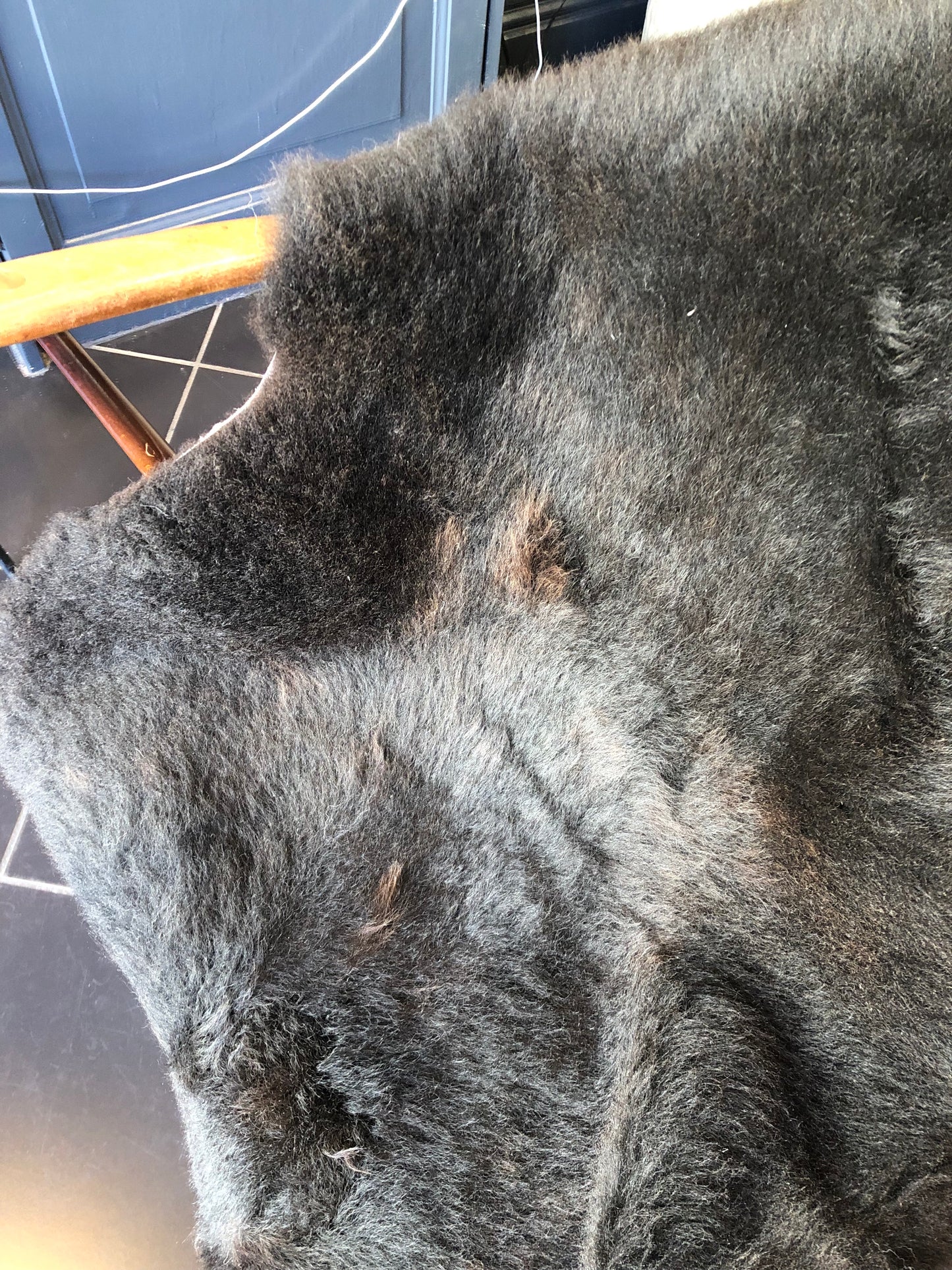 Sheepskin #1