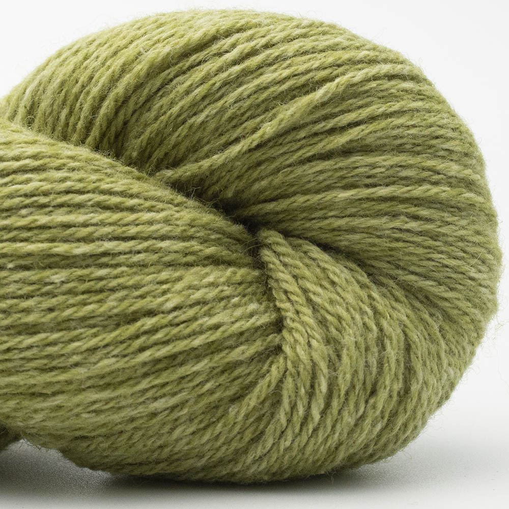 BC Garn Bio Balance GOTS Certified yarn, 50g in colour Lime 04