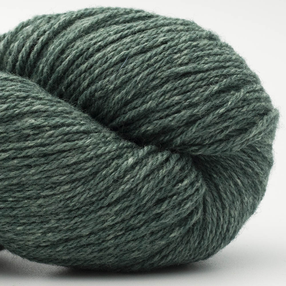 BC Garn Bio Balance GOTS Certified yarn, 50g in colour Pine Tree 05