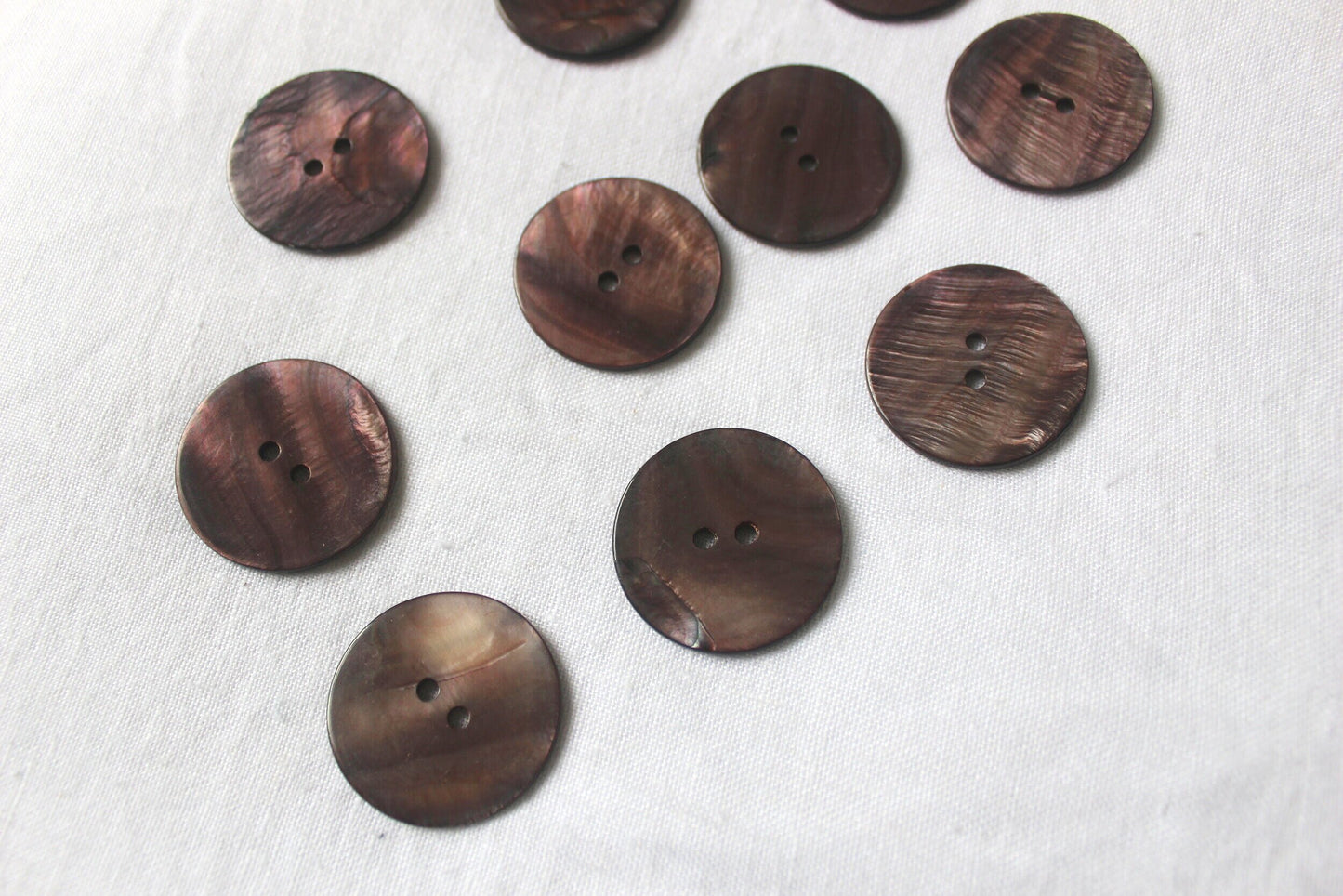 giant flat grey shell button 34mm 2