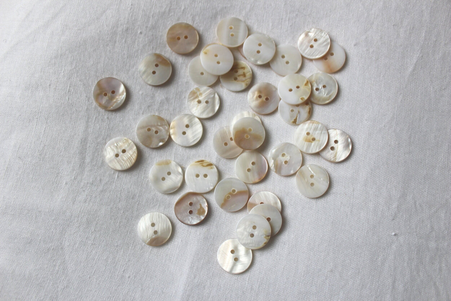 flat white shell button 20mm