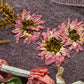 Embroidery on Knits