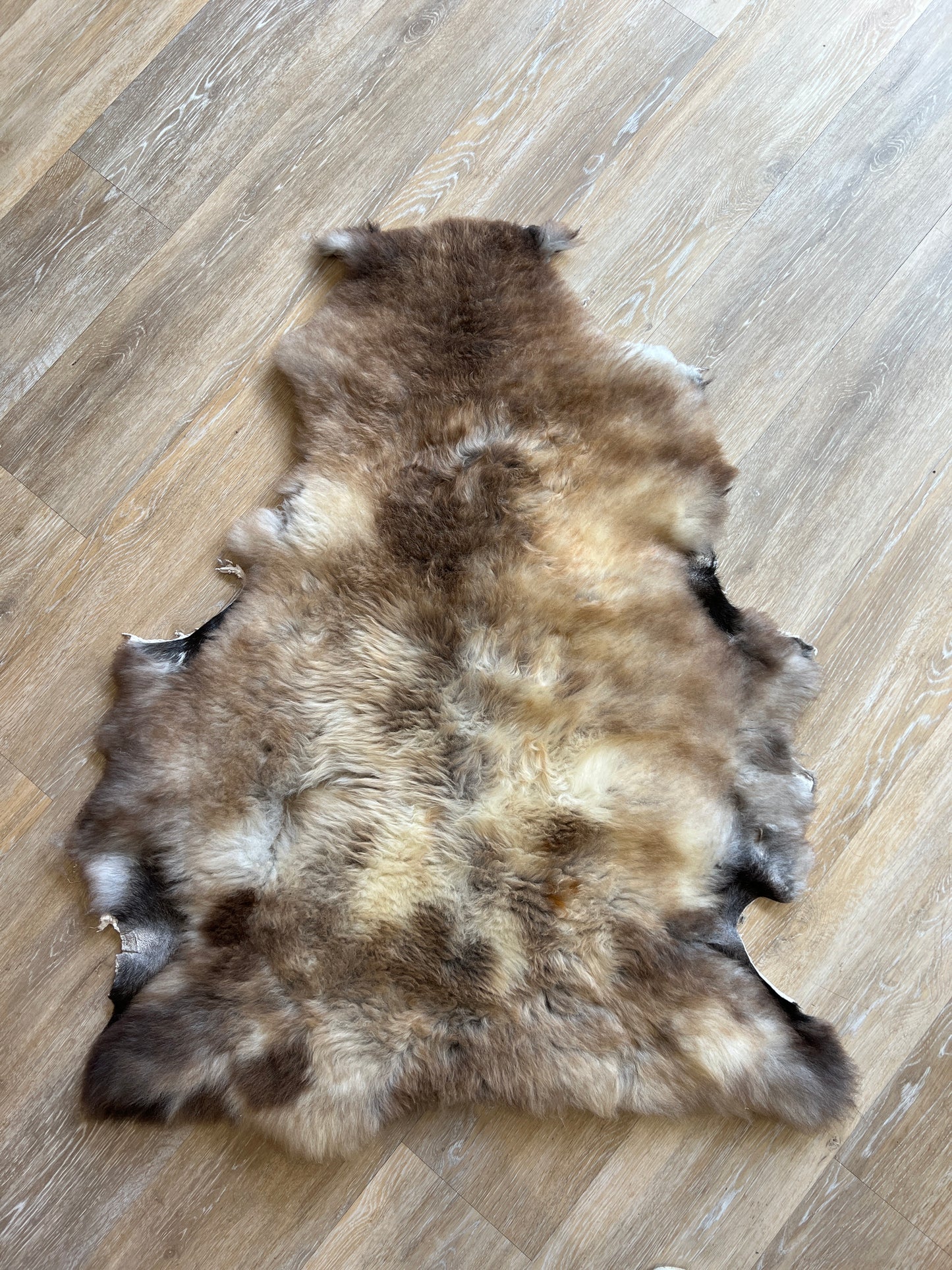Sheepskin #3