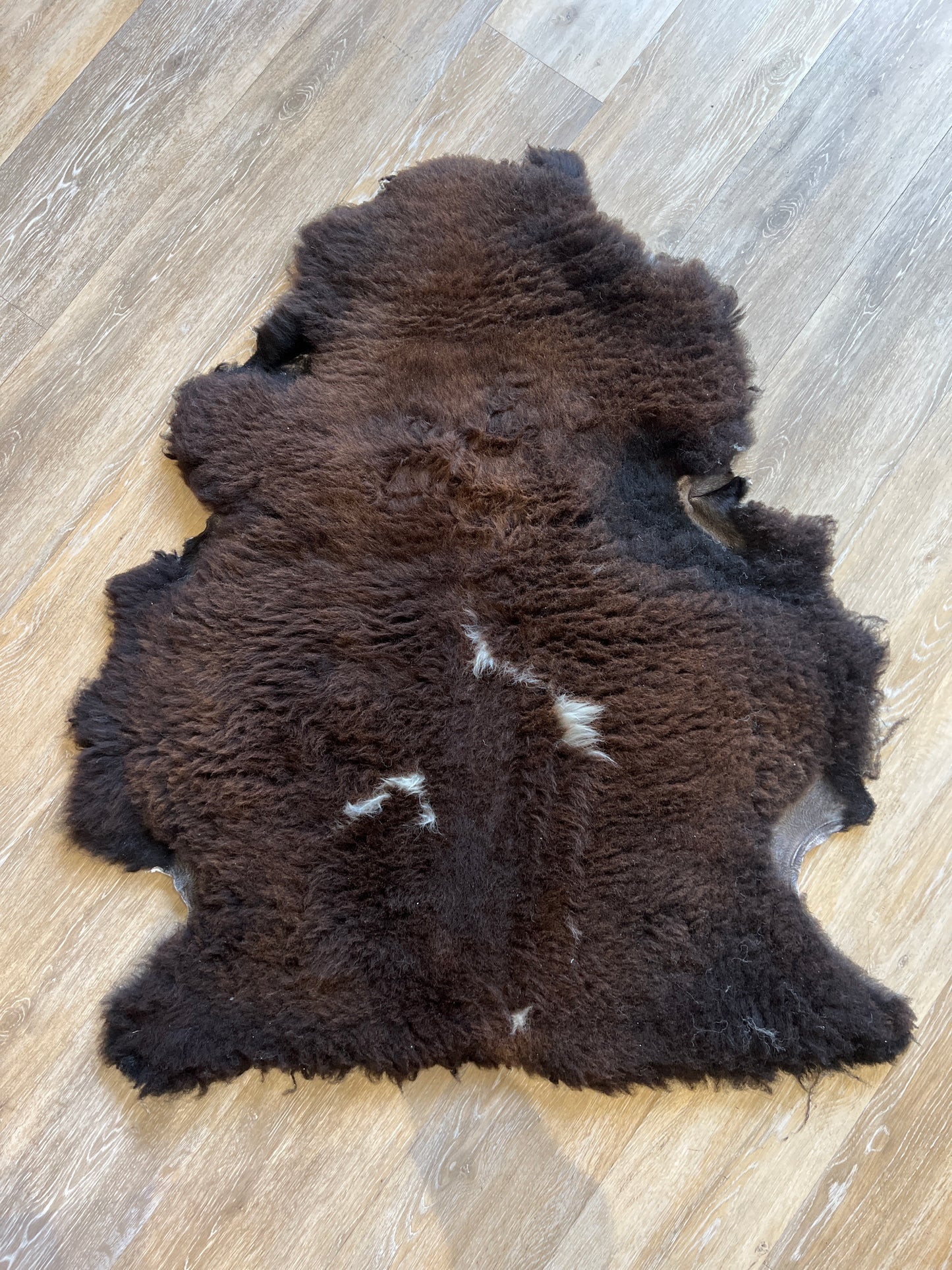 Sheepskin #8