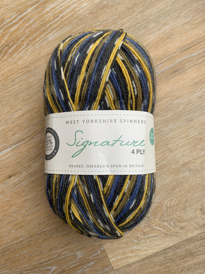 West Yorkshire Spinners Signature 4ply (Country Birds) - 100g