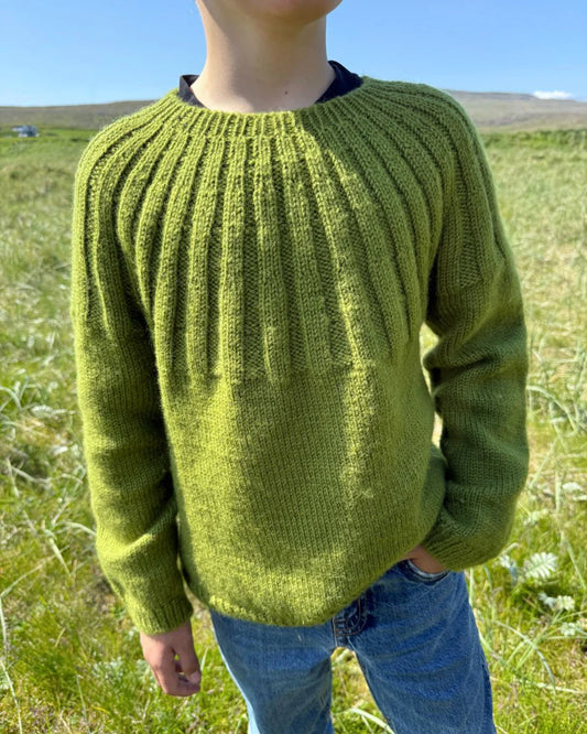 Harald’s Sweater | PetiteKnit Printed Knitting Pattern