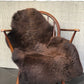 Sheepskin #10