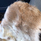 Sheepskin #15