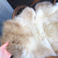 Sheepskin #18