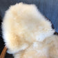 Sheepskin #19