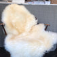 Sheepskin #19
