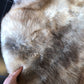 Sheepskin #5