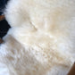 Sheepskin #9