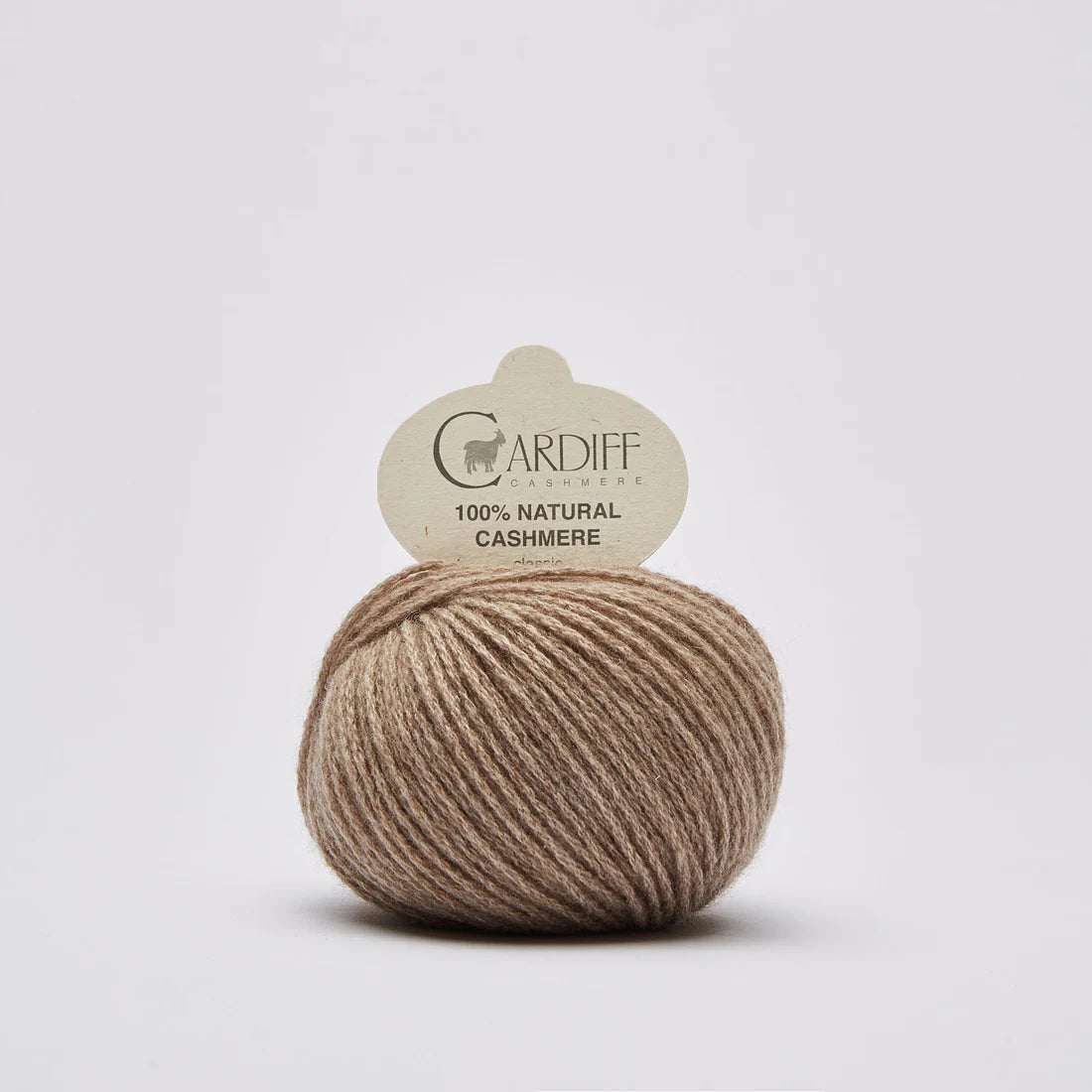 Cardiff Cashmere Classic - 25g