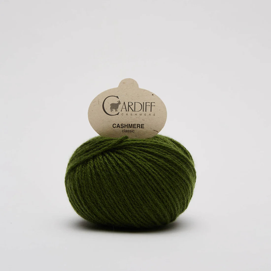 Cardiff Cashmere Classic - 25g