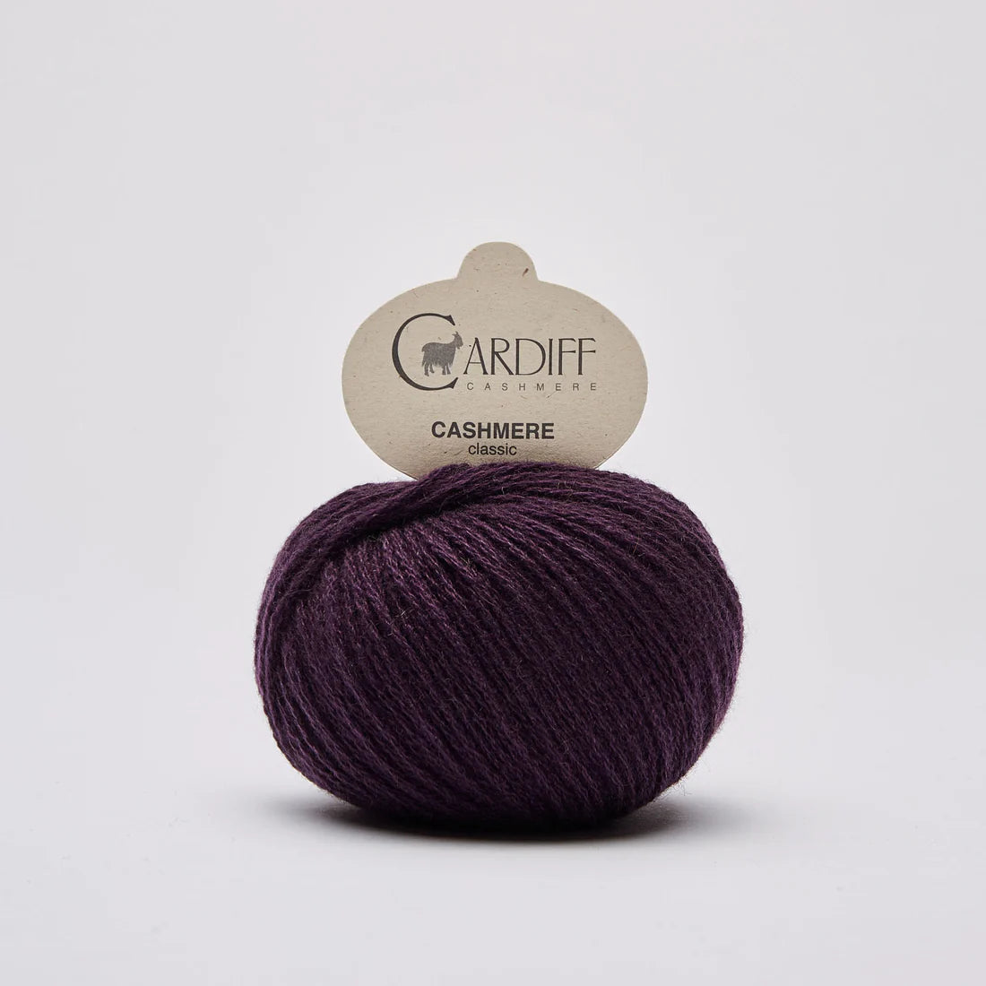 Cardiff Cashmere Classic - 25g