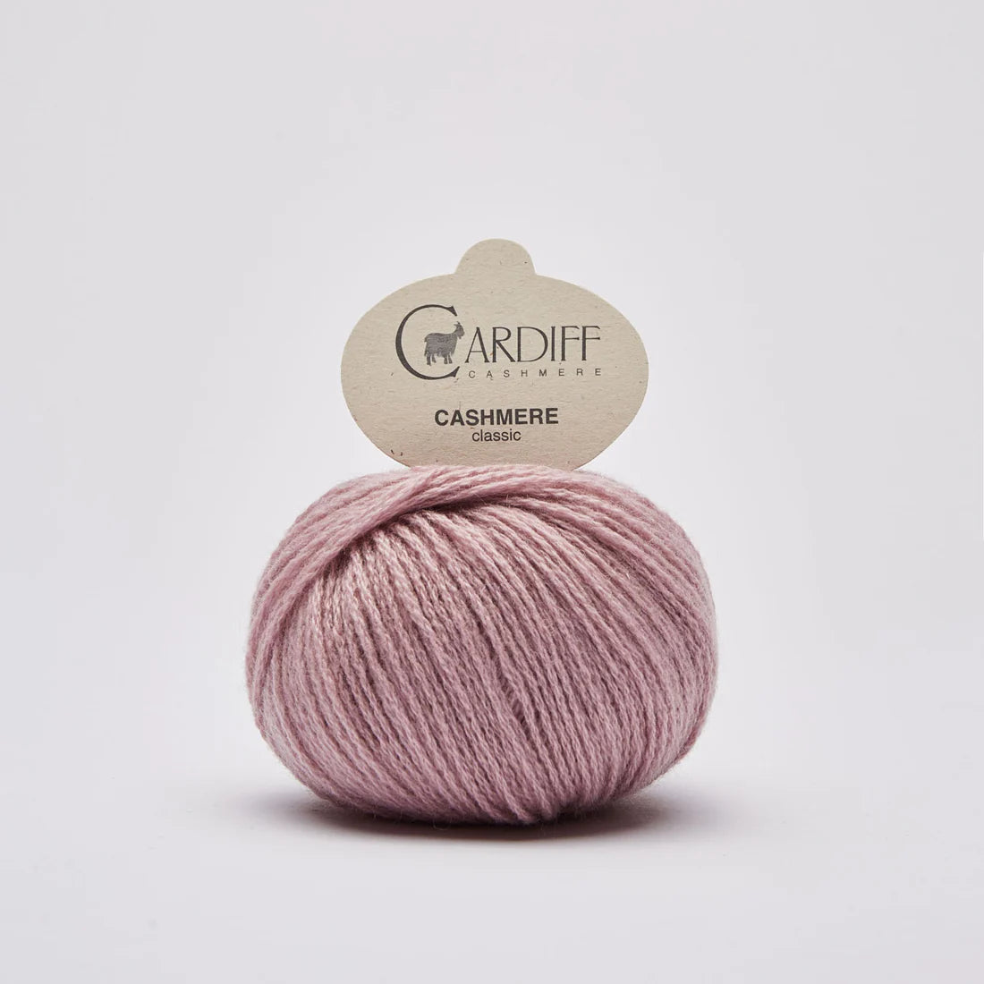 Cardiff Cashmere Classic - 25g