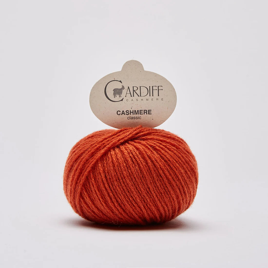 Cardiff Cashmere Classic - 25g