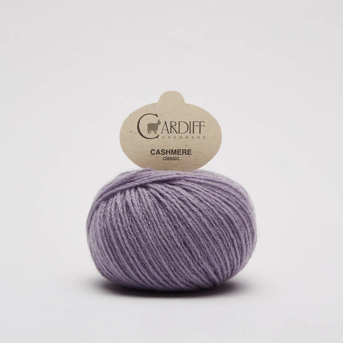 Cardiff Cashmere Classic - 25g