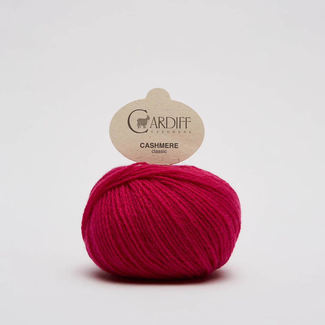 Cardiff Cashmere Classic - 25g