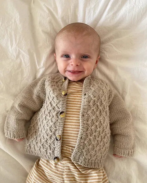 Carl's Cardigan | PetiteKnit Printed Knitting Pattern