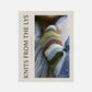 Knits from the LYS