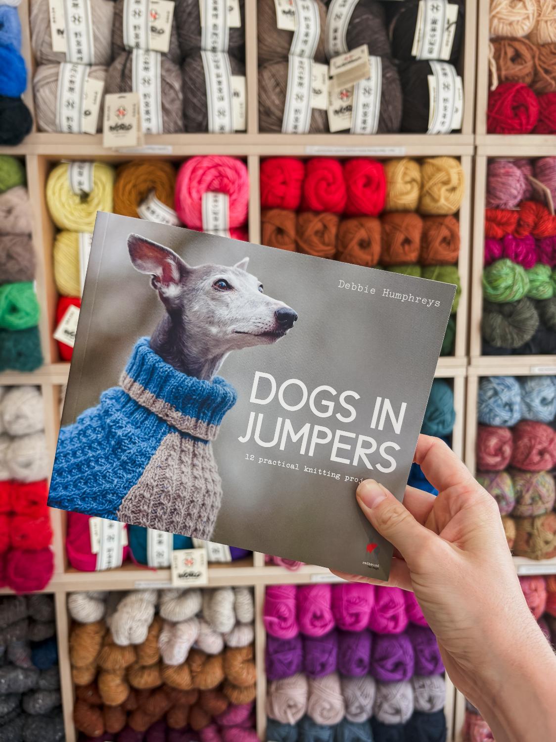 Dogs in Jumpers | Debbie Humphreys