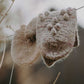 Seasons of Stitches