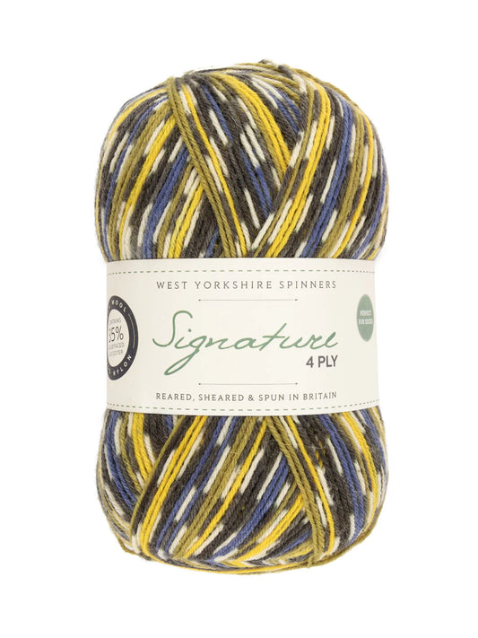 West Yorkshire Spinners Signature 4ply (Country Birds) - 100g
