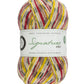 West Yorkshire Spinners Signature 4ply (Country Birds) - 100g