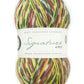 West Yorkshire Spinners Signature 4ply (Country Birds) - 100g