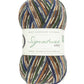West Yorkshire Spinners Signature 4ply (Country Birds) - 100g