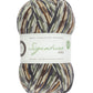 West Yorkshire Spinners Signature 4ply (Country Birds) - 100g